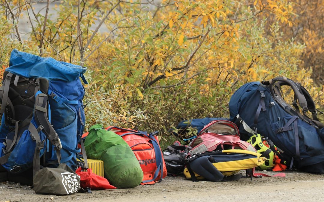 Vivir la Cultura Local: Razones para Elegir un Albergue