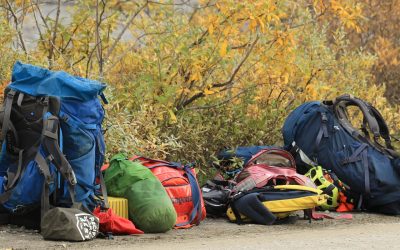 Vivir la Cultura Local: Razones para Elegir un Albergue