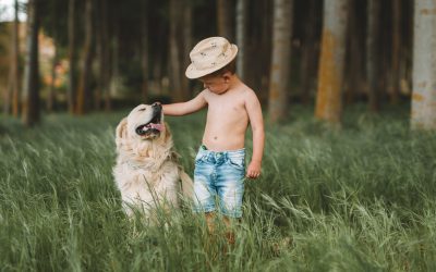 VIAJAR CON PERRO EN VERANO